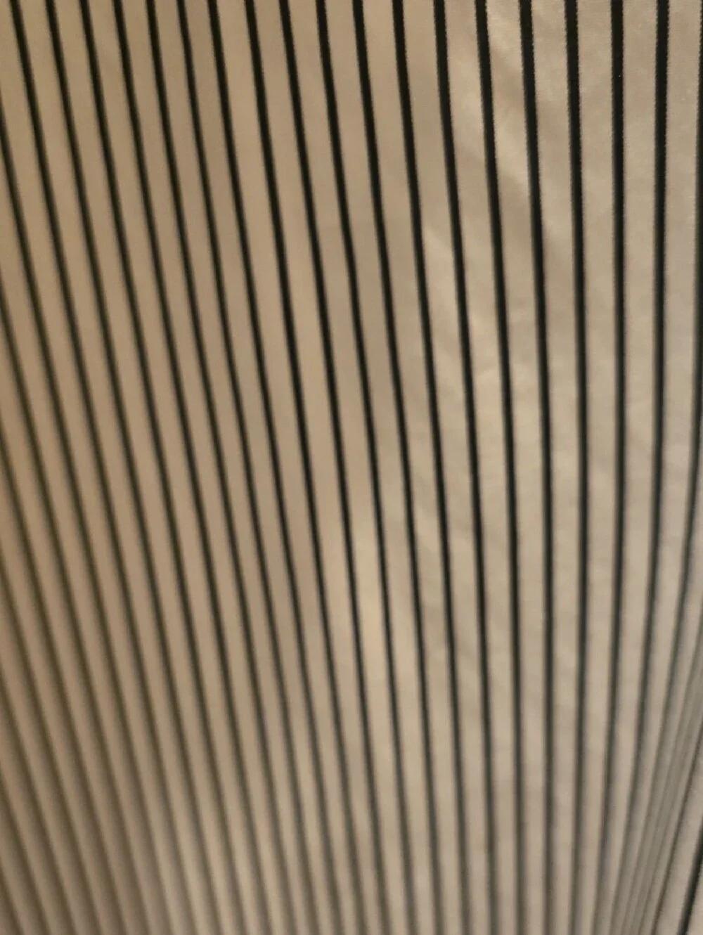 Polo by Ralph Lauren White Dress Shirt with Black Pinstripes
